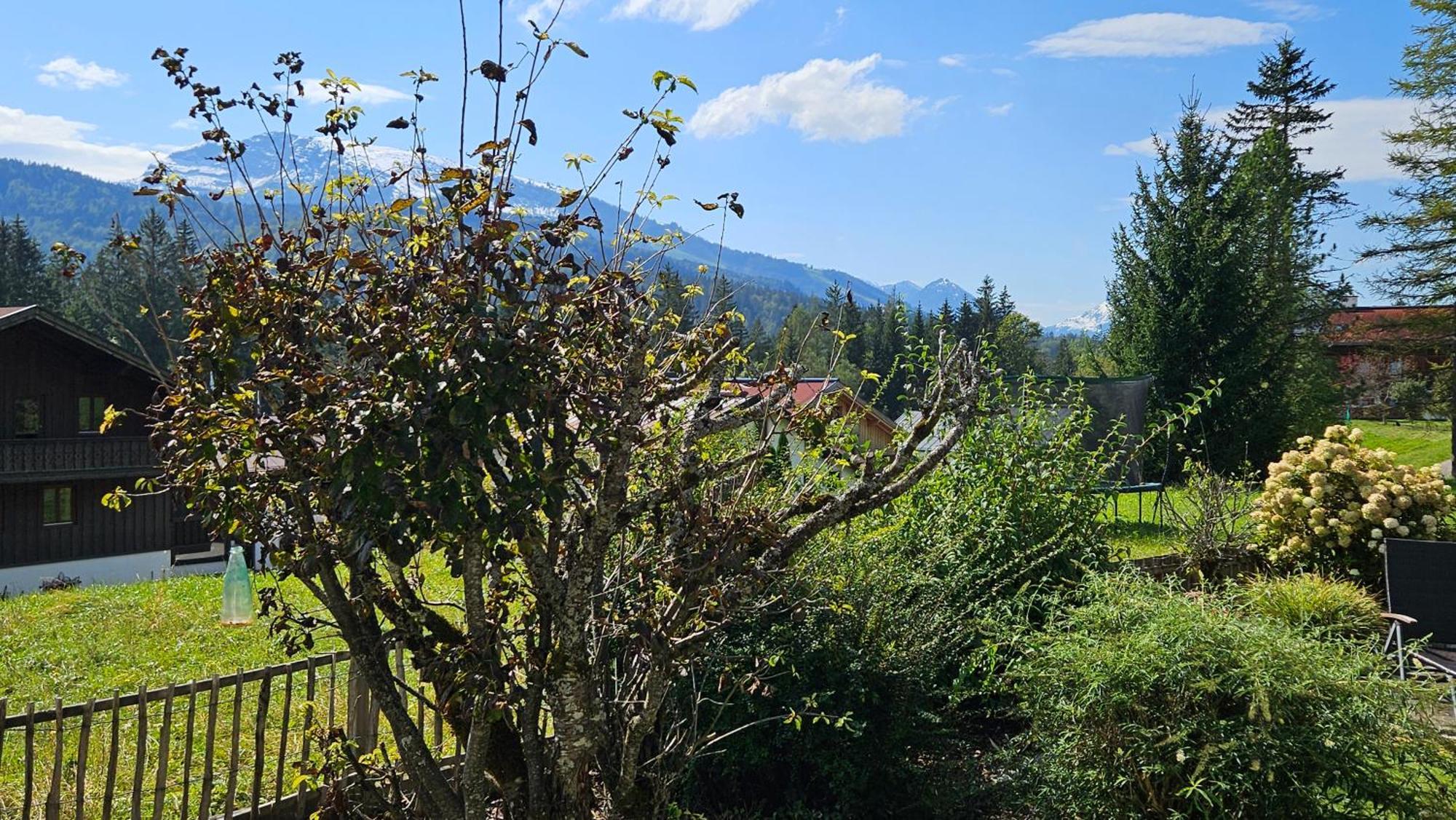 Chalet Weitsee Reit im Winkl Exterior foto
